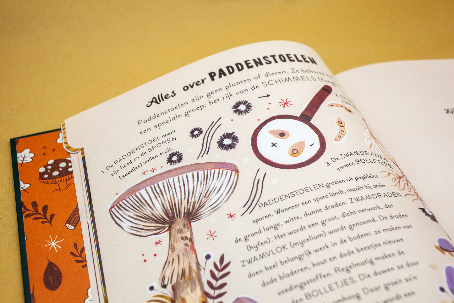 Een woud vol wonderen - Gabby Dawnay