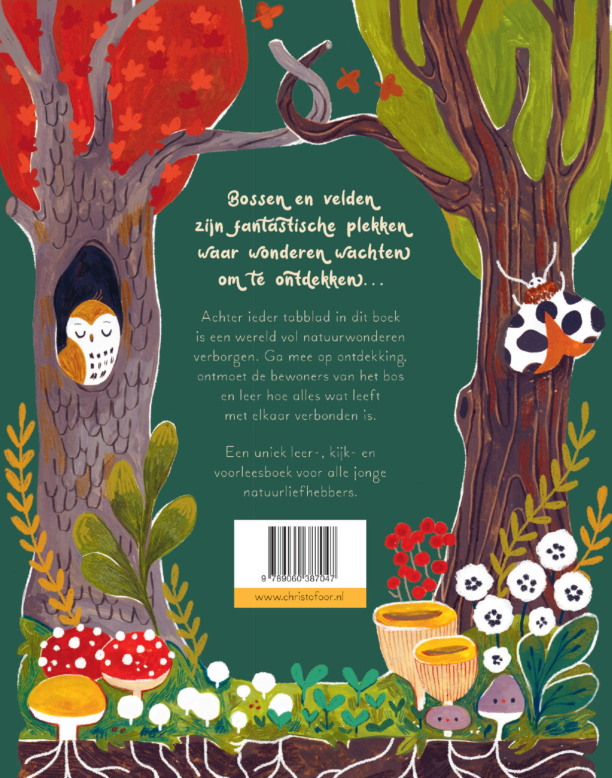 Een woud vol wonderen - Gabby Dawnay