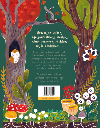 Een woud vol wonderen - Gabby Dawnay