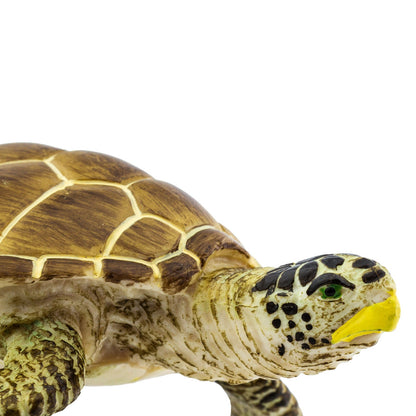 Zeeschildpad
