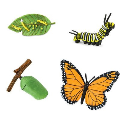 Speelset levenscyclus van de vlinder