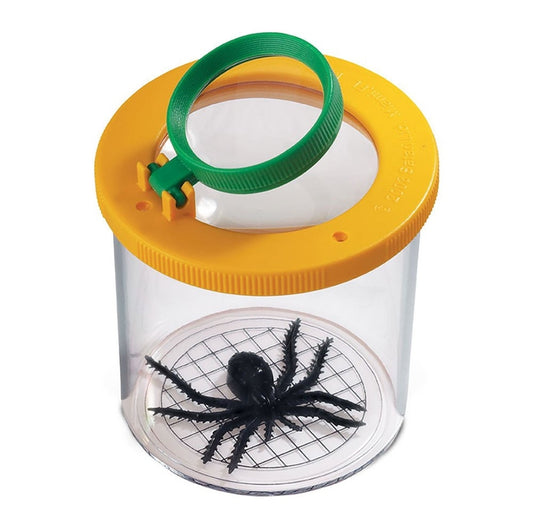 Insectenpotje